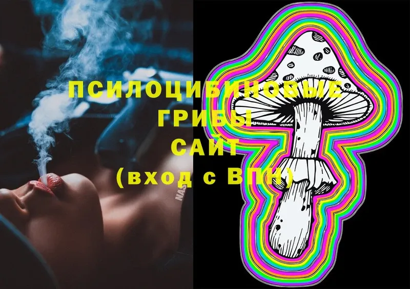 MEGA ТОР  Миньяр  Галлюциногенные грибы Psilocybine cubensis 